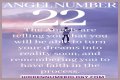 
ANGEL NUMBER 22

